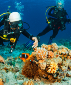 Image des produits de plongée sous-marine