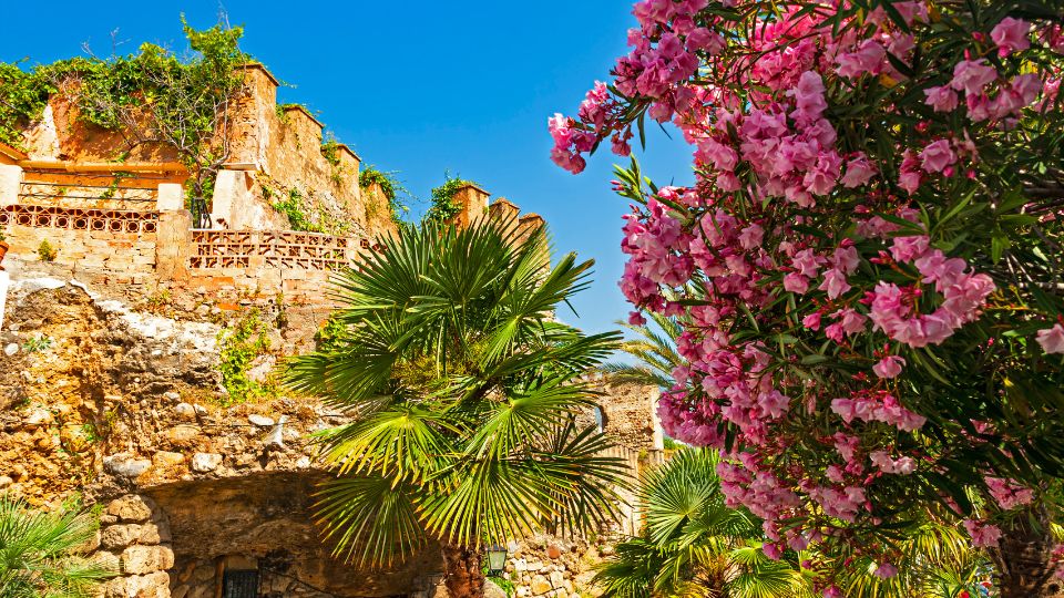 fleurs à marbella